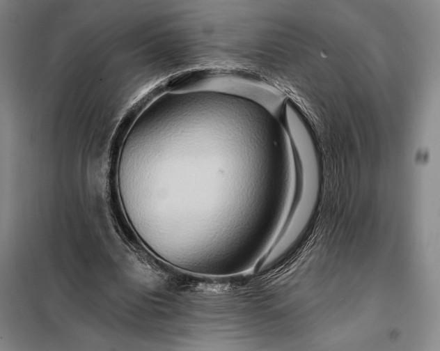 X0000098130440200805011324
