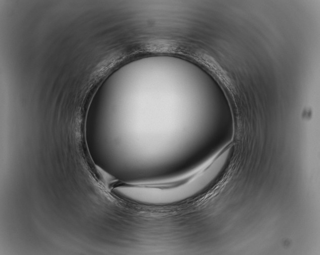 X0000098130441200805011324