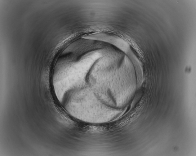 X0000098130442200805011324