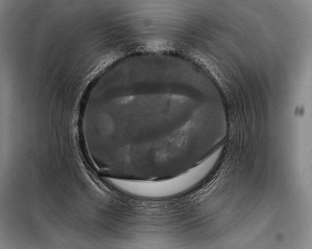 X0000098130443200805011324