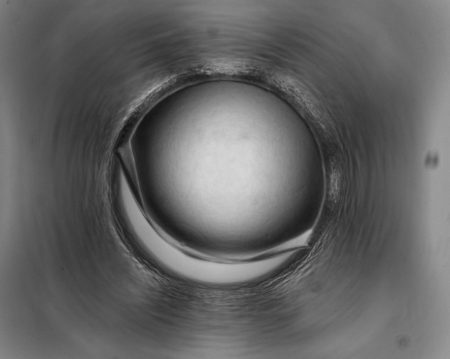 X0000098130444200805011325