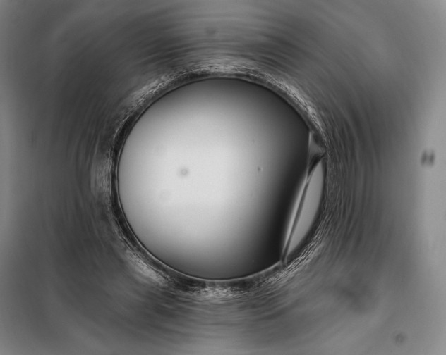 X0000098130445200805011325