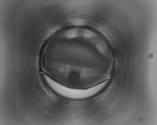 X0000098130447200805011325