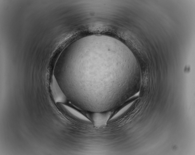 X0000098130448200805011325
