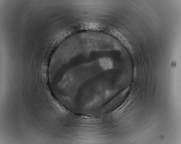 X0000098130449200805011325