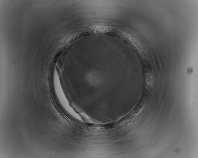 X0000098130451200805011325