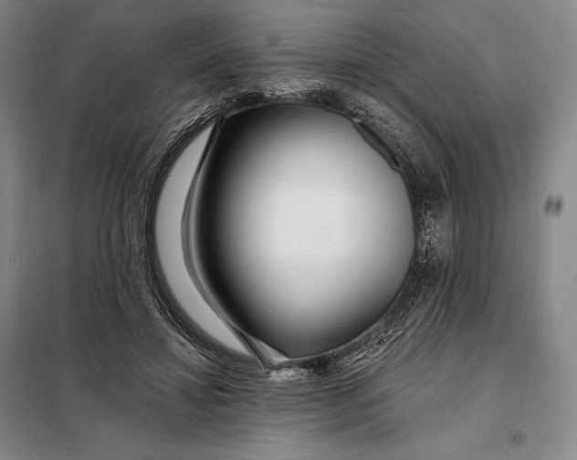 X0000098130452200805011325