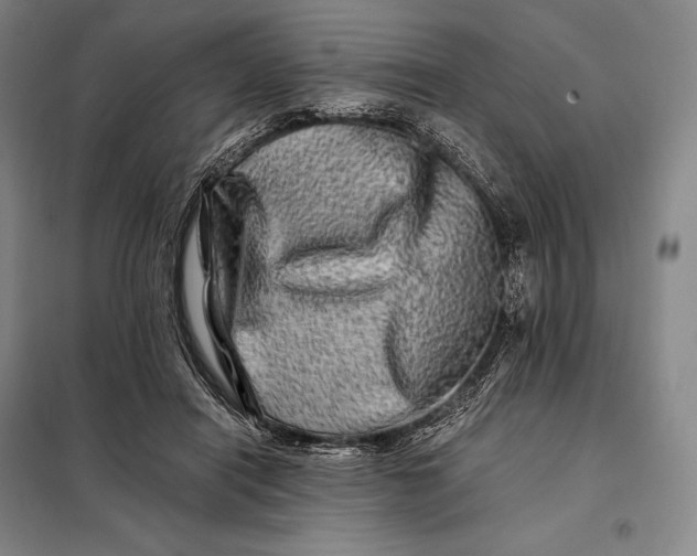 X0000098130454200805011325