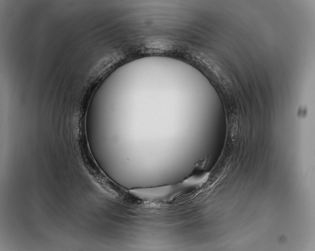 X0000098130455200805011325