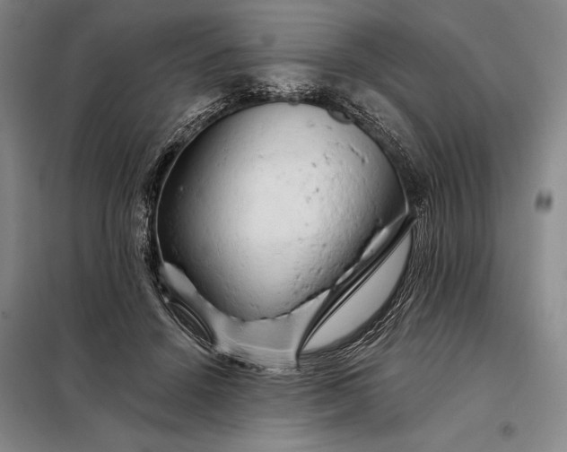 X0000098130456200805011325