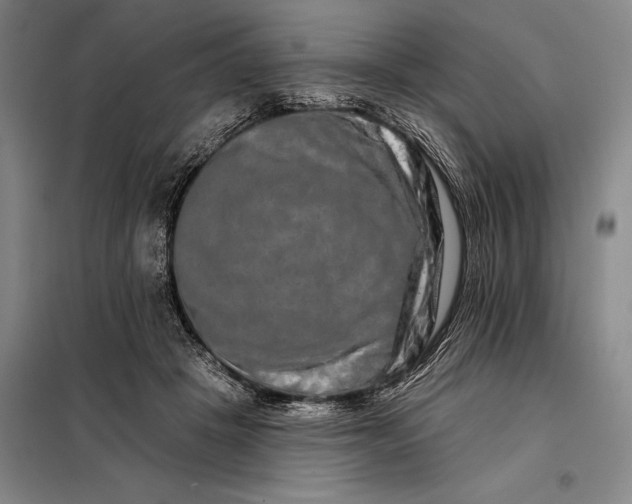 X0000098130457200805011325