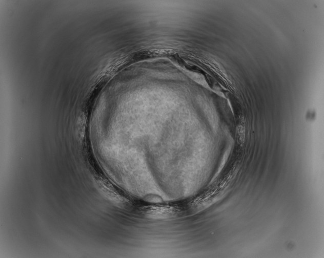 X0000098130458200805011325