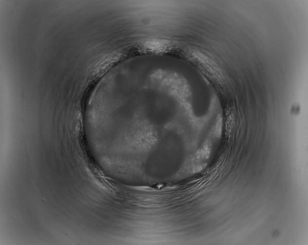 X0000098130459200805011325