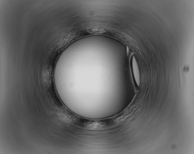 X0000098130460200805011325
