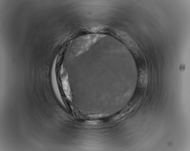 X0000098130461200805011325