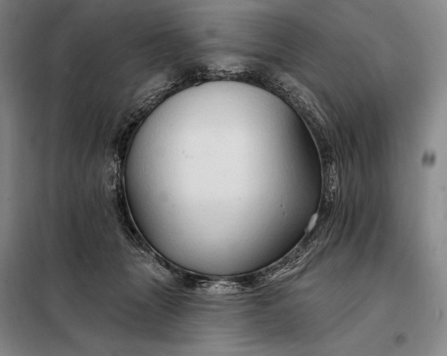 X0000098130463200805011325