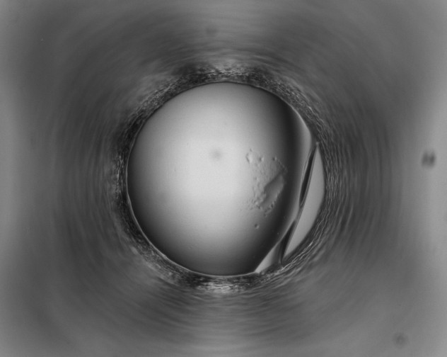 X0000098130464200805011325