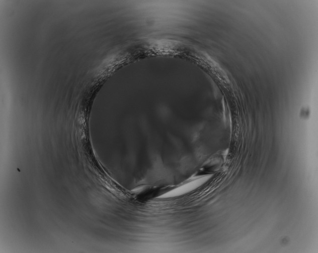 X0000098130465200805011325