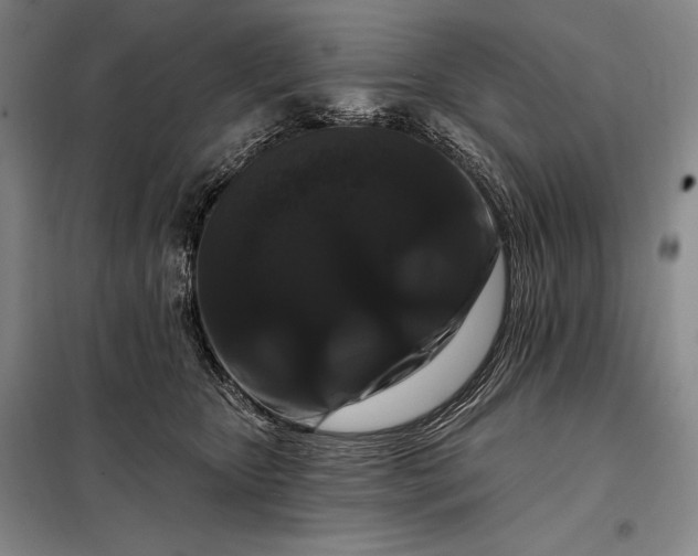 X0000098130467200805011325