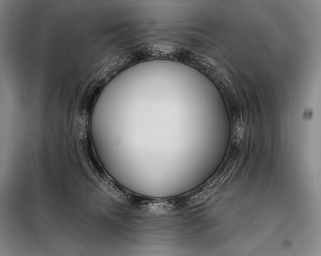 X0000098130468200805011325
