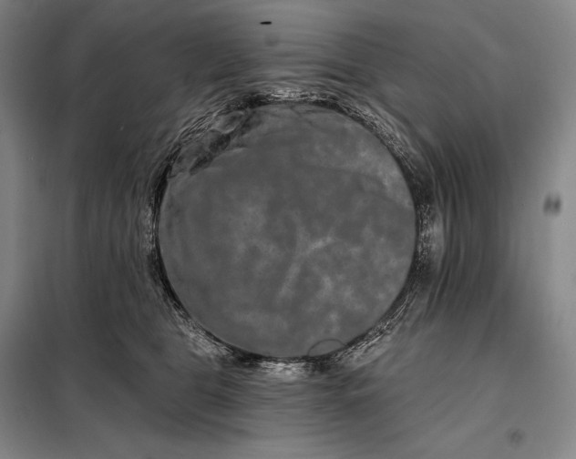 X0000098130469200805011325