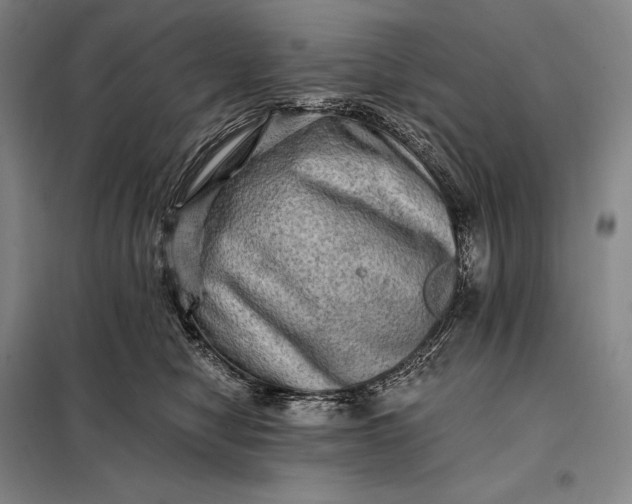 X0000098130470200805011325