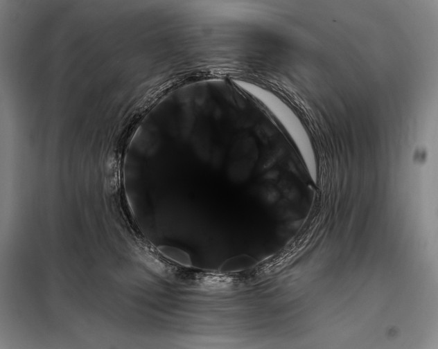 X0000098130471200805011325