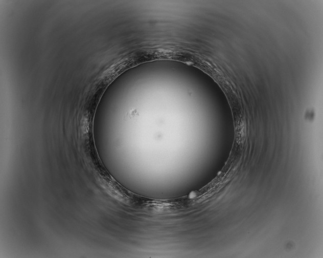 X0000098130472200805011325