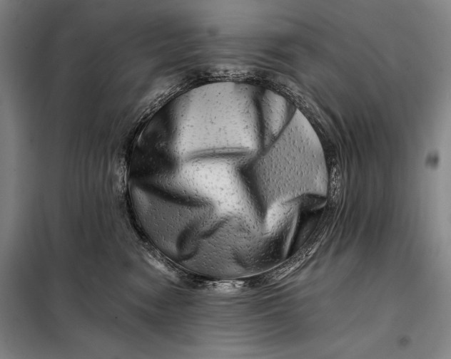 X0000098130474200805011325
