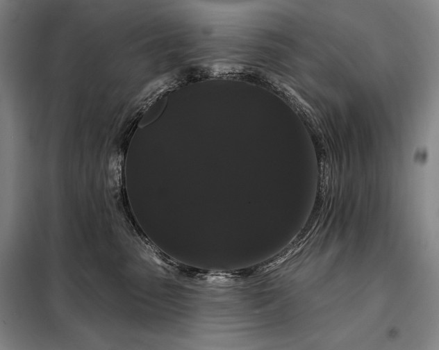 X0000098130475200805011325