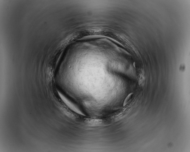 X0000098130476200805011325