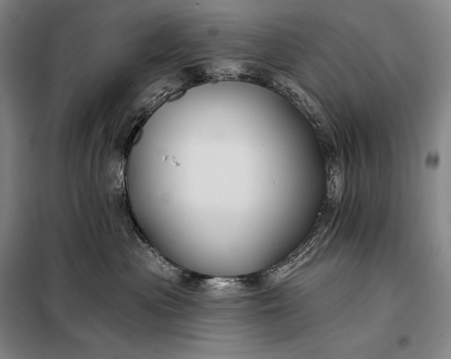 X0000098130477200805011325