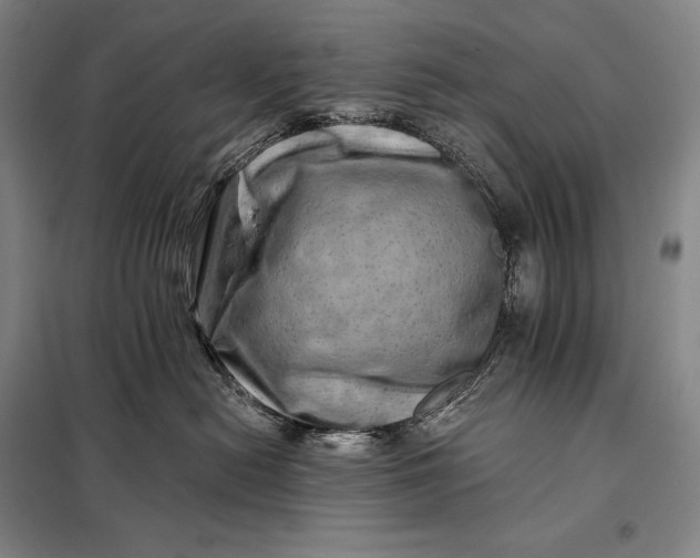X0000098130478200805011325