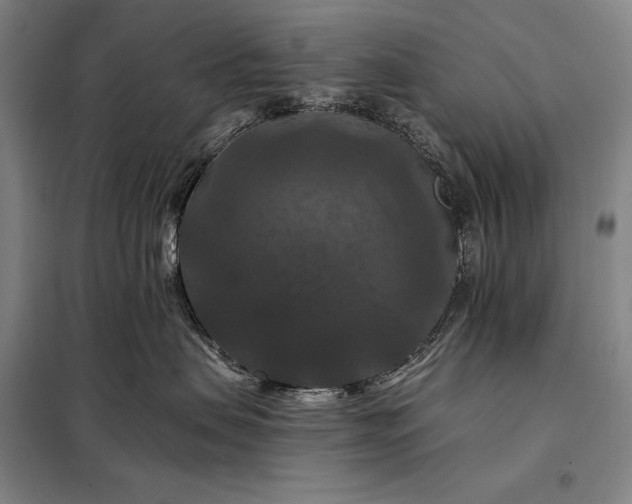 X0000098130479200805011325