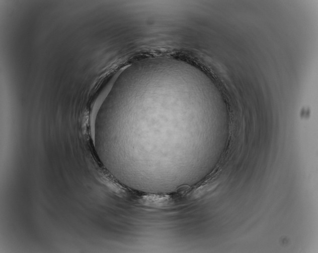X0000098130480200805011325
