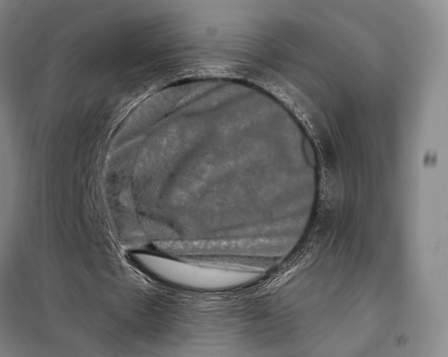 X0000098130481200805011324