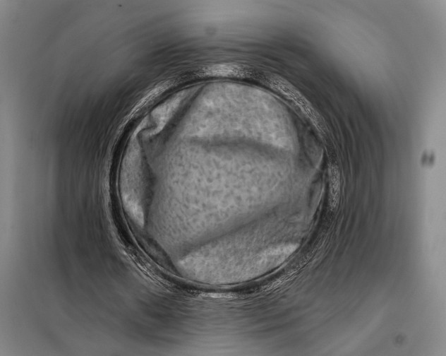 X0000098130482200805011324