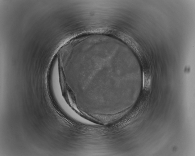 X0000098130483200805011324