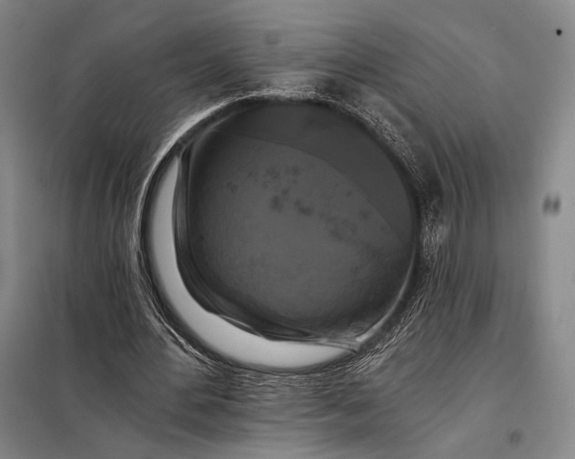 X0000098130484200805011324