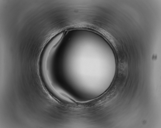 X0000098130485200805011324
