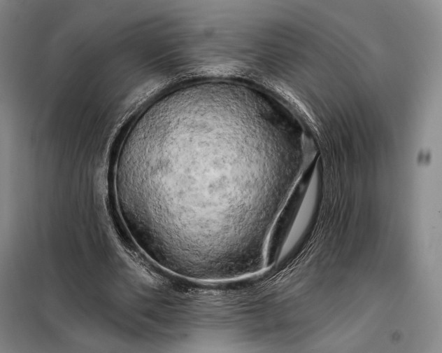 X0000098130486200805011324