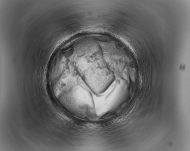 X0000098130487200805011324
