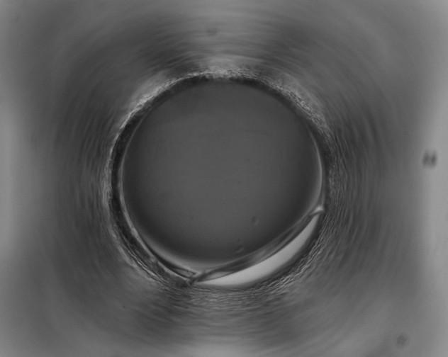 X0000098130488200805011324