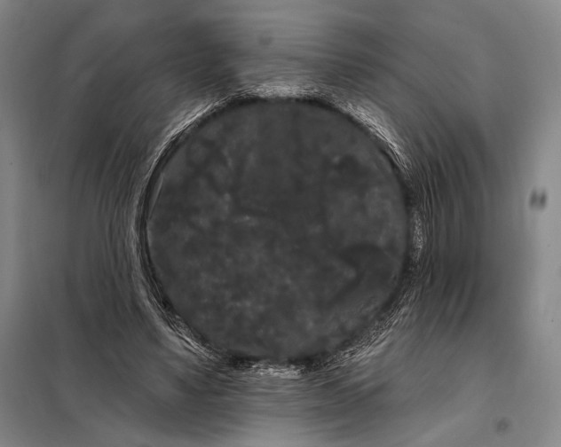 X0000098130491200805011324