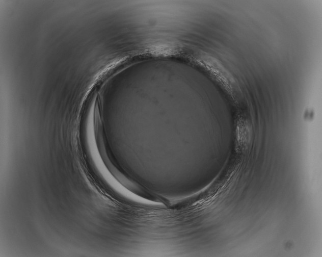 X0000098130492200805011324