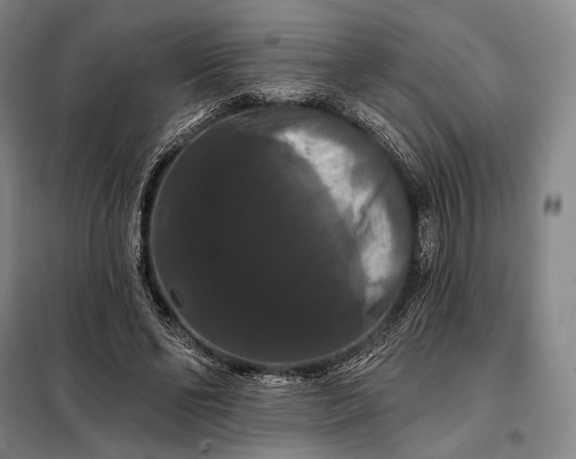 X0000098130494200805011324