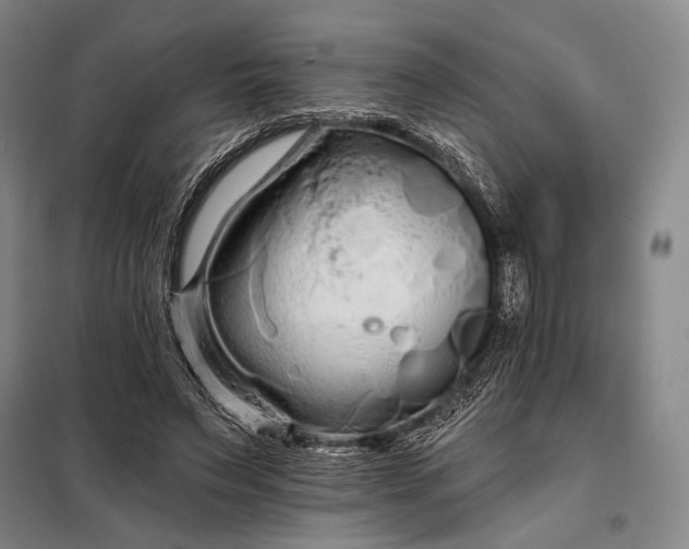 X0000098130495200805011324