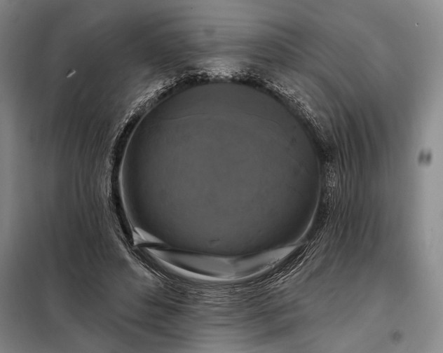 X0000098130496200805011324