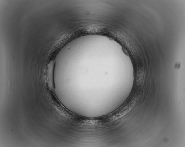 X0000098130497200805011324