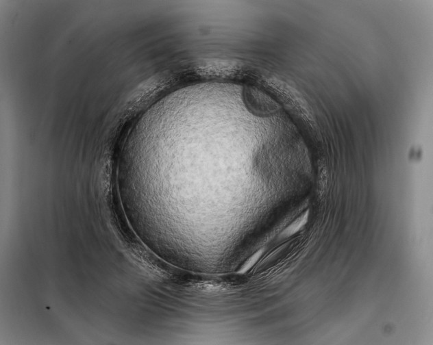X0000098130498200805011324